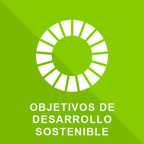 5.- Objetivos de Desarrollo Sostenible