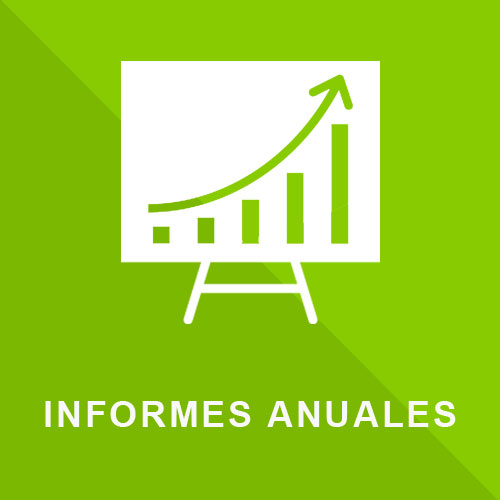 7.- Informes Anuales